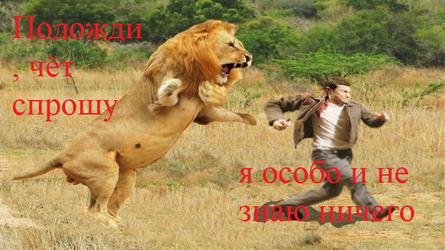 Лев напал на Зубкова в парке Тайган