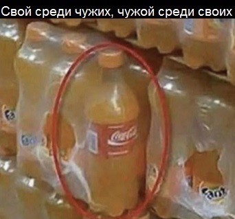 Веселое настроение в картинках (04.08.2025)
