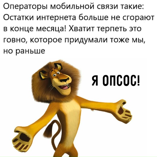 Весёлый полтишок 19.08.25