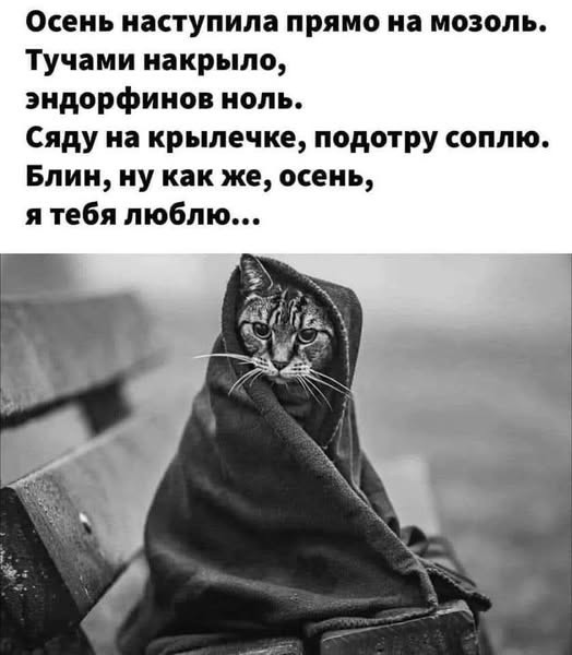 Картинки для деградации 61 (разной степени свежести)