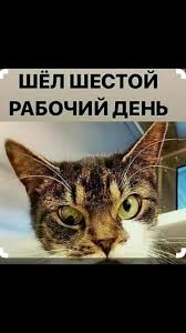Про сегодняшний день