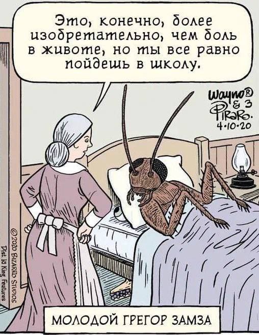Небаянистая эволюция