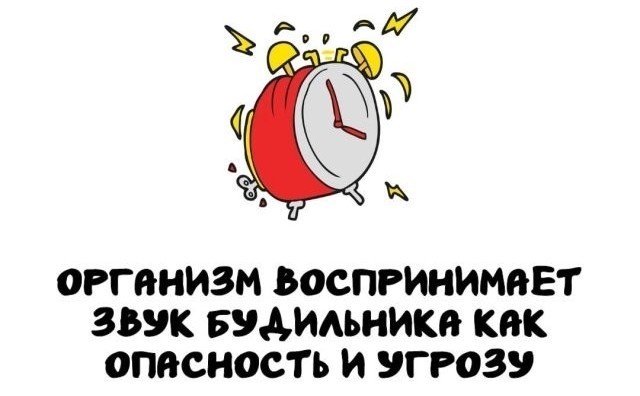 Подборка интересных фактов на все случаи жизни 26.11.25
