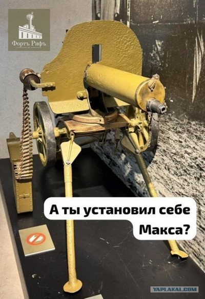 Розы гибнут на газонах...