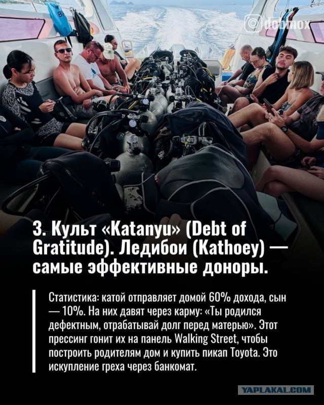 Печальная судьба тайских ледибоев