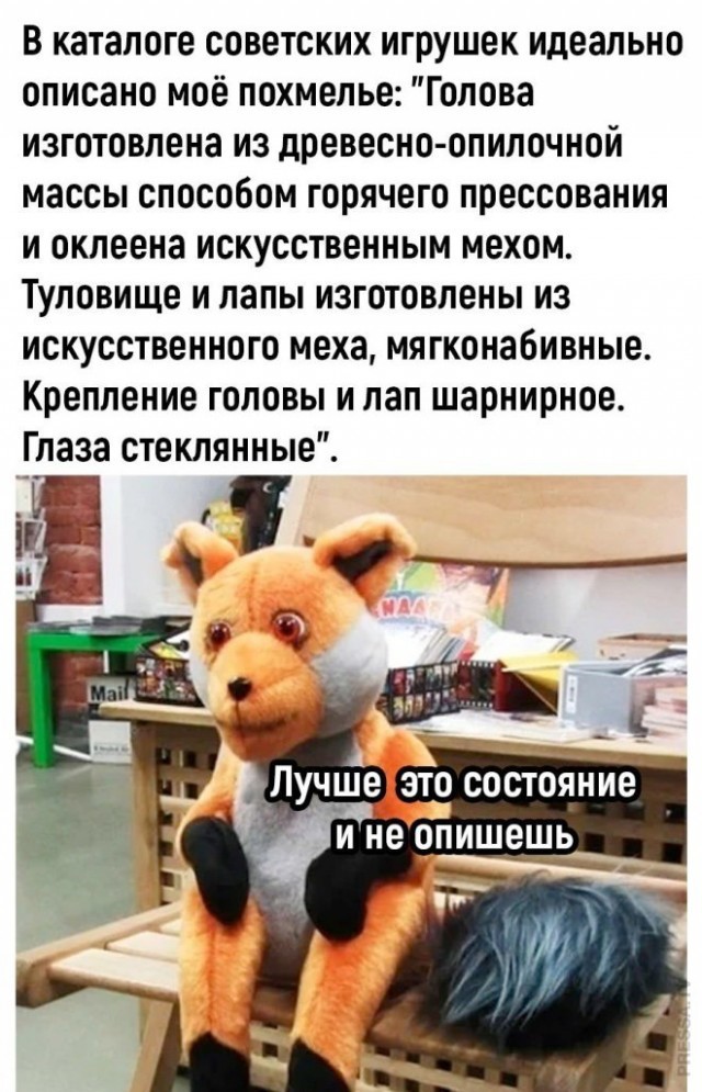 Сова едет на корпоратив