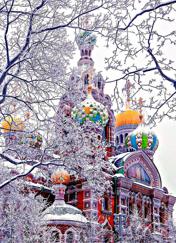 Прикольные и просто красивые картинки 30.12.2025