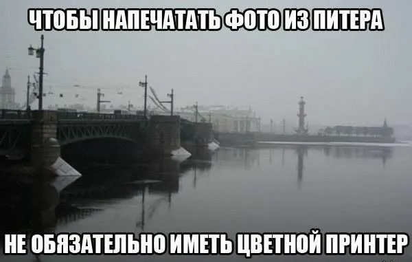 Молочный Питер