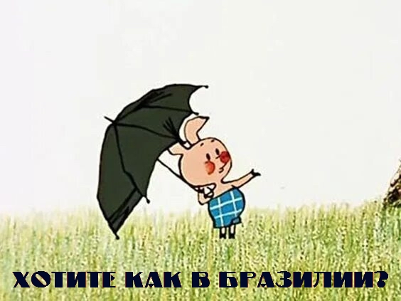Молния ударила в толпу митингующих в Бразилии — пострадали больше 70 человек, 8 из них в тяжëлом состоянии.