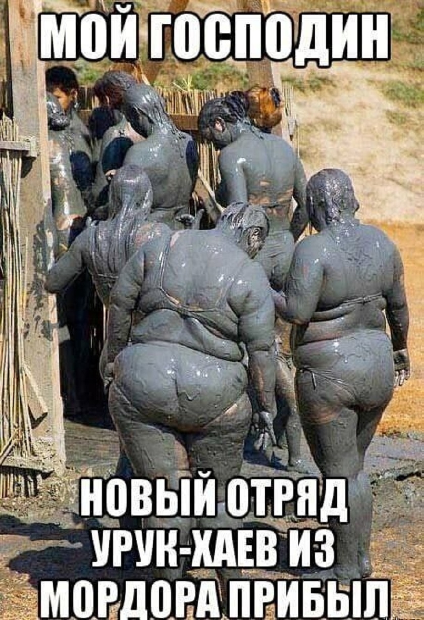 20729286.jpg