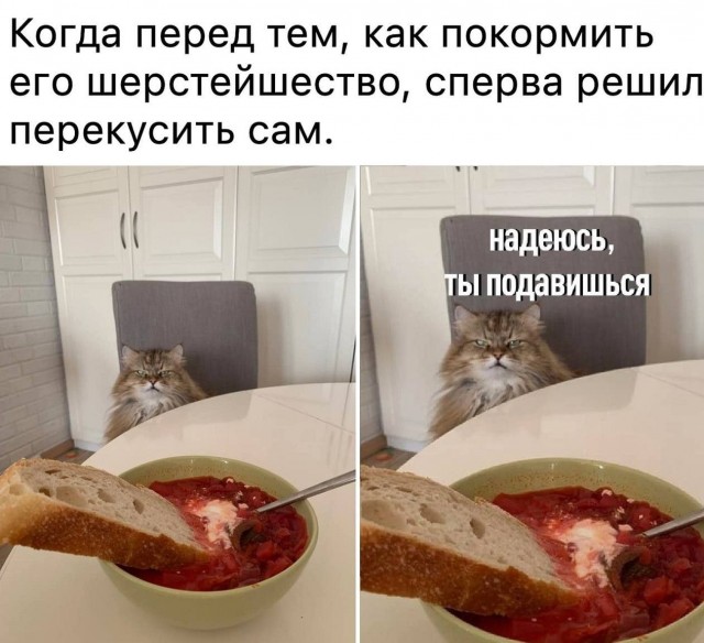 Воскресные картинки