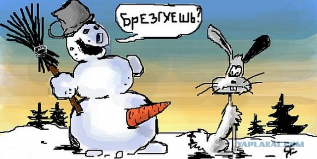 Идеальная женщина
