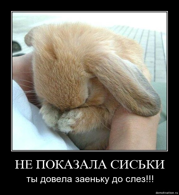 Вот и сюрприз от Госуслуг!