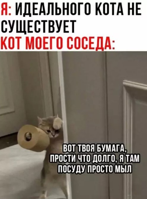 К котовторнику: подборка картинок-баянов с котиками и про котиков. Выпуск 36.
