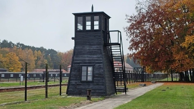 «Радуемся Красной Армии». В Польше сказали спасибо русским…