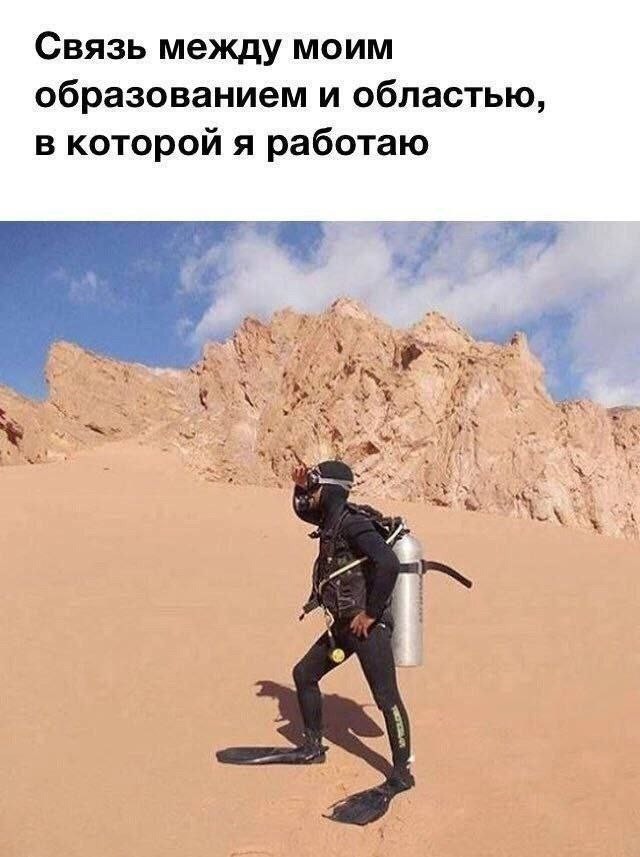 Так себе картинки 24.07.26