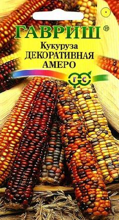 Веселая кукуруза