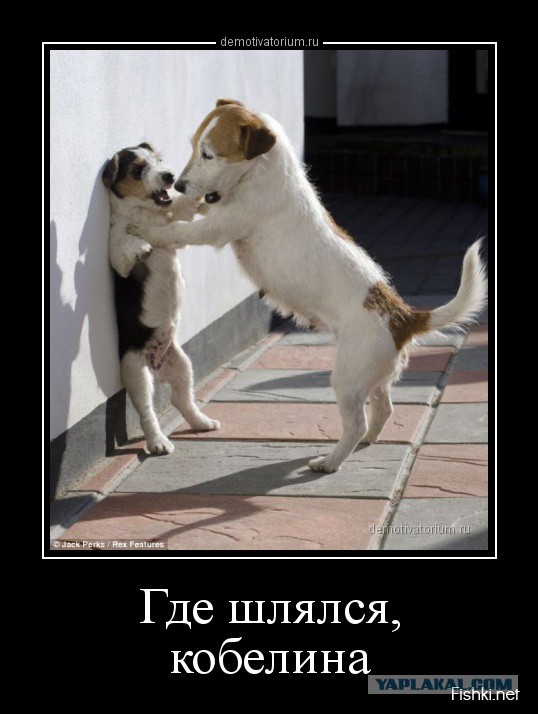Лучшие  «аткрытки»года