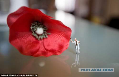 Забавные миниатюры