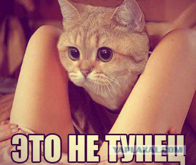 Cделал для себя, но может еще кому пригодится?