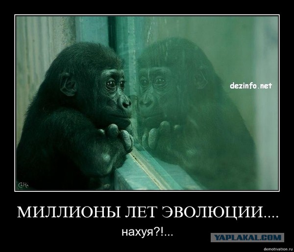 Демотиваторы.