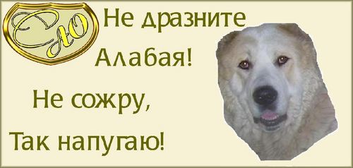 Все, все злые!