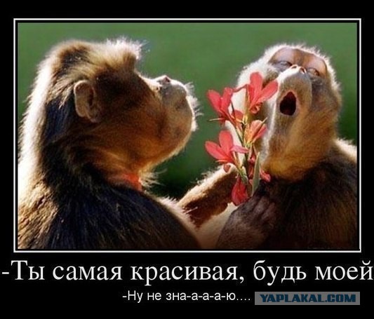 Поднимаем настроение