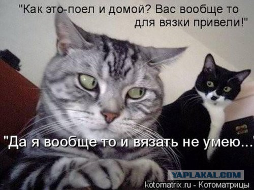 Почему ты несчастна в семье?