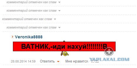 Колона танков и бронетехники с флагами Новороссии