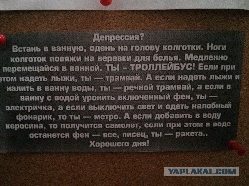 Последнее фото с Вашего телефона.