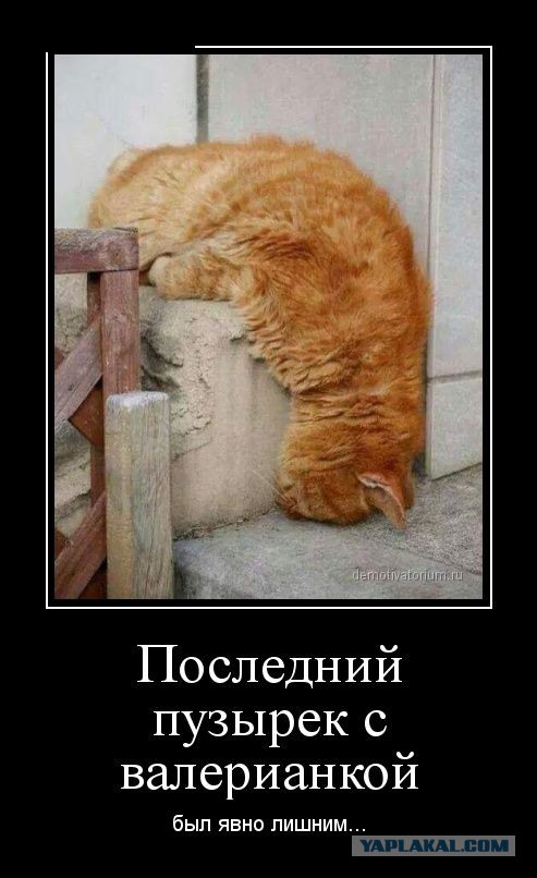 А вот и новые картинки!