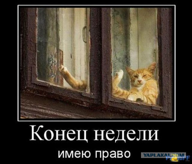 Картинка к пятнице