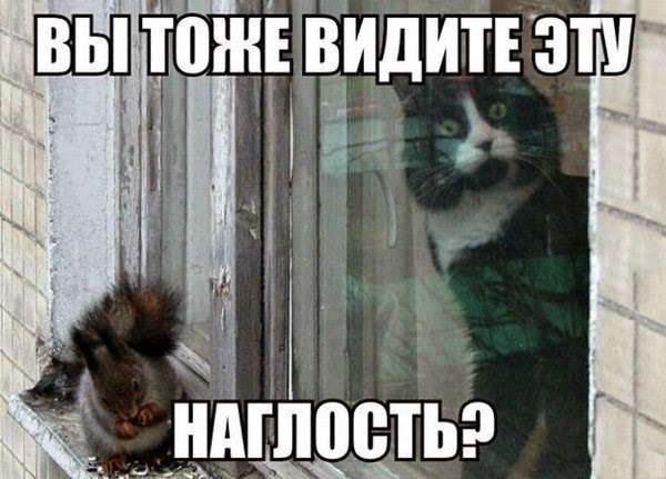 Остановись мгновенье.