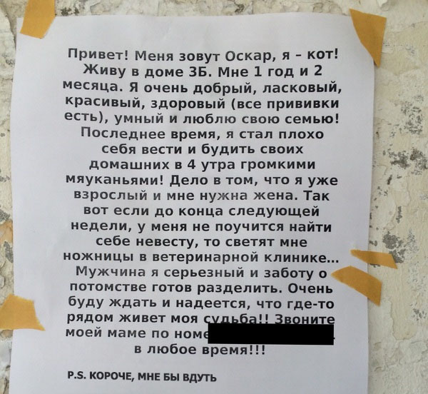 Забавные картинки из Сети