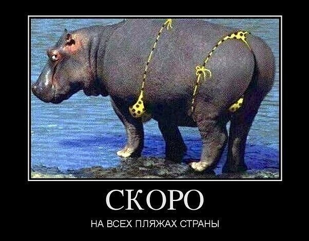 Пляжные модники