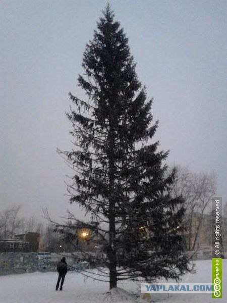 Уродливая елка.