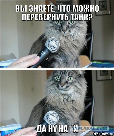 Танки. Биатлон.