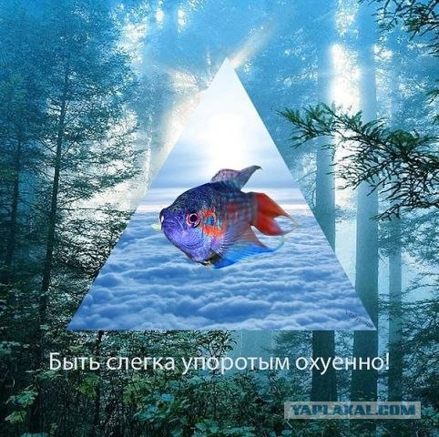 Девочка со спичками