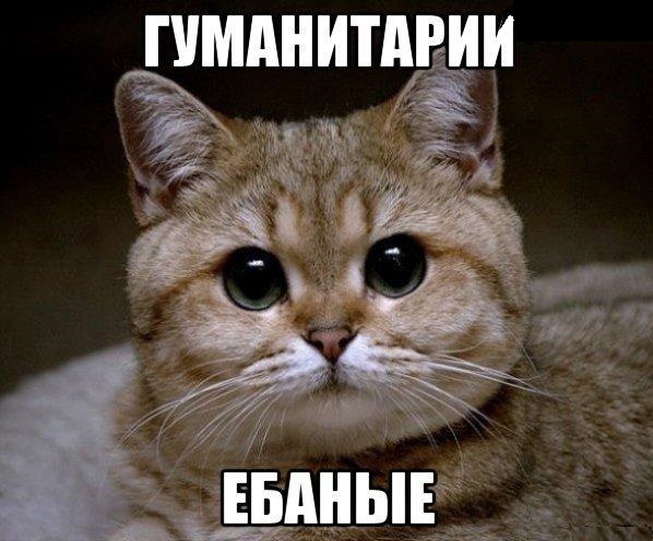 Завтра самый страшный день.