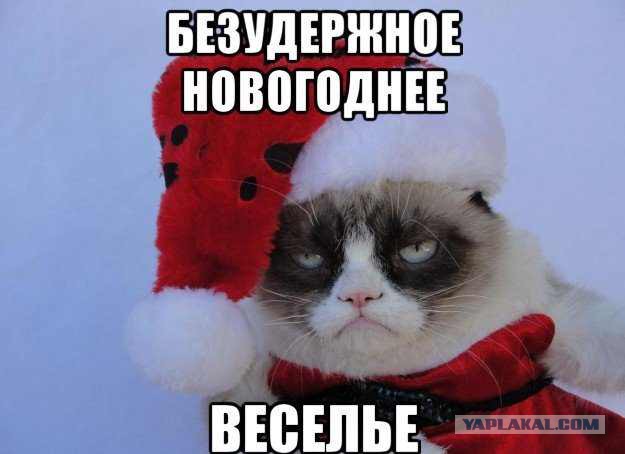 А вот моя домостройка