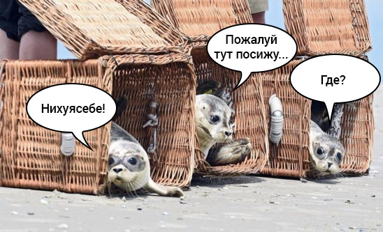 Больше, чем фото 6.