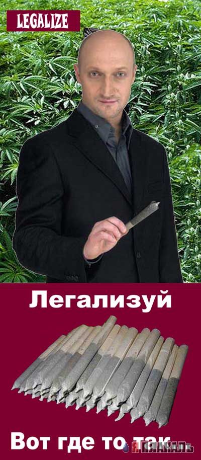 Фотожаба: Гоша Куценко