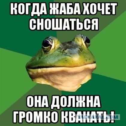 Посрался с женой из-за пустяка.