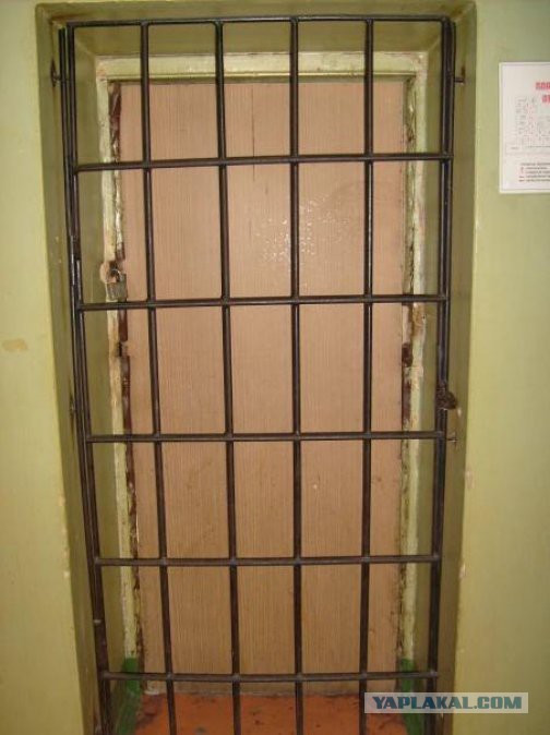 Аццкое боткино (ред. 2008)