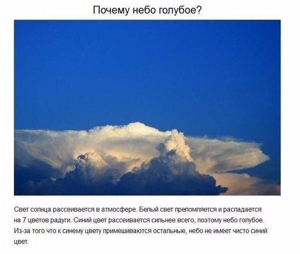 Подборка фото