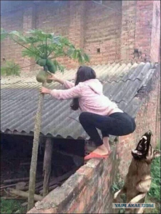 Фотки сделанные в нужный момент