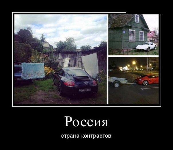 Порция картинок из сети