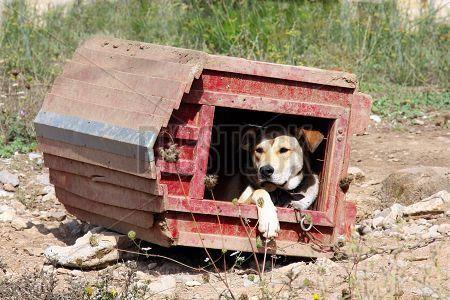 86 бывших депутатов Госдумы не выселились из служебных квартир.