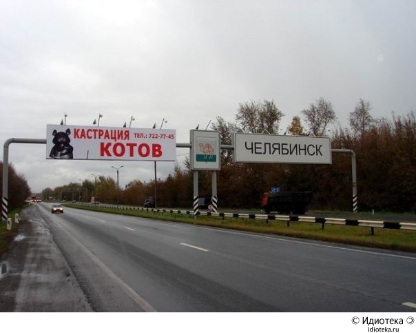 Итоги проверки пользователей