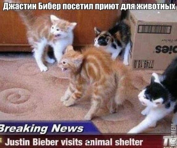 Подборка интересных и веселых картинок